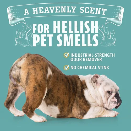 Miniatura 3 de ANGRY ORANGE Eliminador de olores de mascotas para orina de perros y gatos, manchas de alfombras y olores fuertes, limpiador de cítricos con aceite
