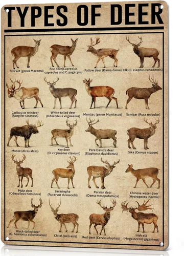 HYBLOM Póster de decoración de caza, carteles de metal vintage, arte de pared de vida silvestre para cabaña hombre, cueva, guardería, regalos de