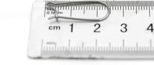 Limerencia Ganchos franceses de titanio sin níquel, kit de fabricación de aretes, incluye 10 ganchos franceses para aretes y 10 piezas de dorso para