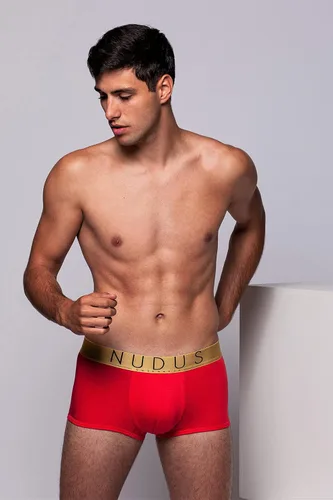 Miniatura 5 de NUDUS Ropa interior de bambú de 2 bolsas para hombre, paquete de 4 calzoncillos tipo caja de regalo, calzoncillos tipo bóxer