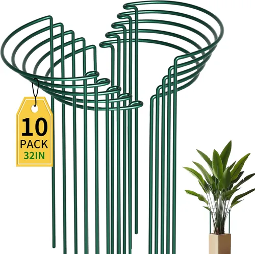 Miniatura 11 de TCBWFY Paquete de 10 estacas de soporte para plantas de peonía, 10 pulgadas de ancho x 16 pulgadas de alto, jaulas de peonía de alta resistencia