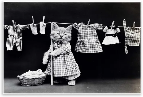 Miniatura 8 de Stupell Industries Kitten Does The Laundry - Placa de pared artística, fabricada con orgullo en Estados Unidos, 10 x 15 pulgadas