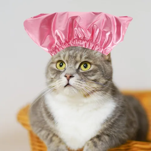 Miniatura 3 de balacoo Gorro de ducha impermeable para mascotas para perros y gatos, gorra de baño ajustable para cachorros con protección para los oídos
