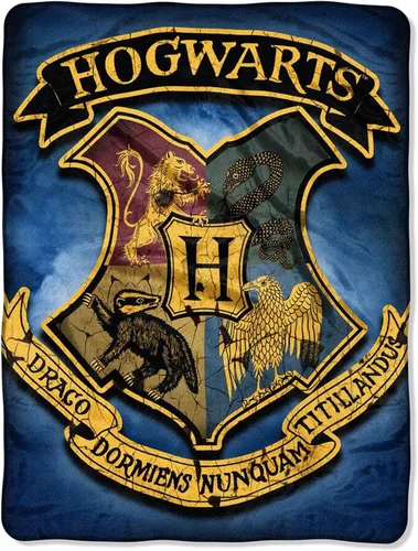 Miniatura 11 de Northwest Manta de micro Raschel de Harry Potter, ligera y transpirable para sofá, acogedora para todas las estaciones, 46 x 60 pulgadas, bandera