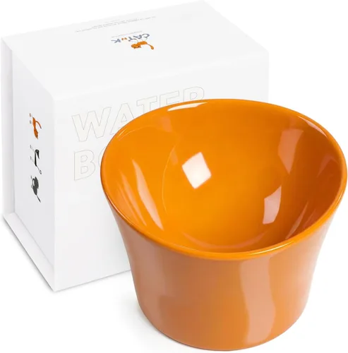 Cuencos elevados para agua para gatos – Cuenco elevado para gatos de interior – Platos para gatos poco profundos con bigotes y cuello – Altura