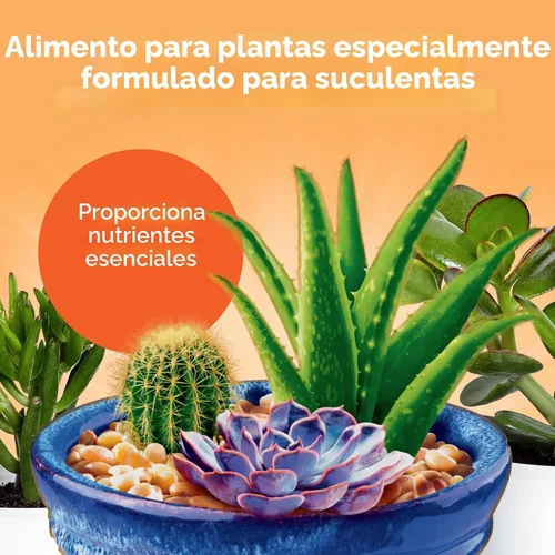 Miniatura 2 de Miracle-Gro Alimento para plantas suculentas, 8 onzas, para suculentas incluyendo cactus, jade y aloe