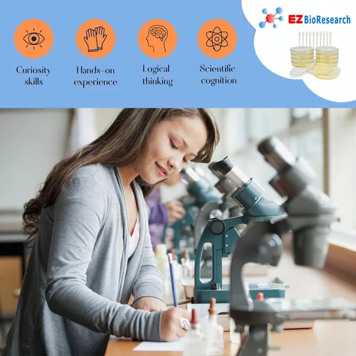 Miniatura 6 de Kit de ciencias de bacterias EZ Bioresearch (IV): kit de proyecto de ciencias Placas de agar LB preparadas e hisopos de algodón Exclusivo libro