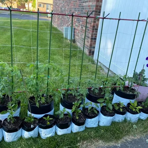 Miniatura 8 de Estacas de metal resistentes para plantas de jardín de 4 pies, varillas de acero recubierto de plástico, paquete de 25