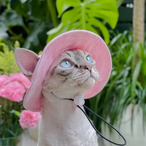 Miniatura 7 de Sombrero para mascotas con agujeros para las orejas, protector solar, gorra de béisbol adecuada para perros pequeños y medianos, sombrero de Rosa