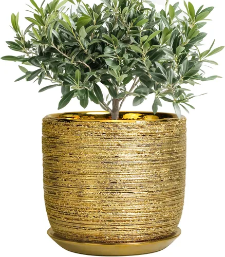 Miniatura 42 de Maceta de Cerámica para Plantas de Interior de 5 Pulgadas - Maceta Redonda para Plantas Suculentas con Agujero de Drenaje y Platillo, Decoración