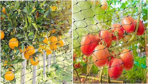 Miniatura 5 de Red para pájaros para jardín, barrera reutilizable de 13 x 33 pies, red de malla para plantas que protege las plantas de plantas de árboles frutales