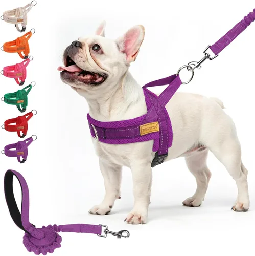Miniatura 32 de BEAUTYZOO Arnés para Perros Pequeños, Juego de Arnés y Correa sin Tirones, Arnés de Chaleco para Cachorros Suave a Prueba de Escapes con Manija