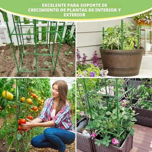Miniatura 7 de Legigo Paquete de 6 jaulas de tomate para soporte de plantas de jardín, estacas de jardín de hasta 48 pulgadas, jaula de tomate para plantas en 6