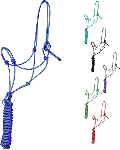 Miniatura 9 de Majestic Ally Cabestro de entrenamiento de poliéster rígido de 1/4 pulgadas con 4 nudos con cuerda de plomo a juego de 10 pies para caballos, Negro