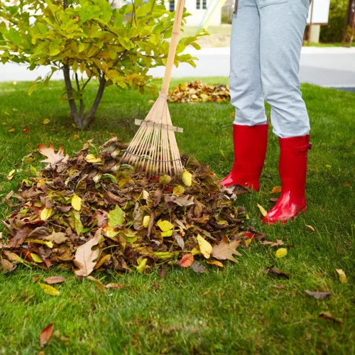 Miniatura 5 de Rastrillo de bambú para hojas, rastrillo de mano de jardín, ligero, 23.4 pulgadas, mango de madera, césped para aflojar el suelo, jardinería