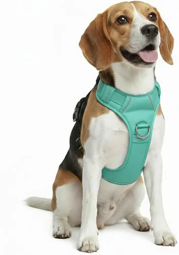 Miniatura 15 de Arnés sin tirones para perro, con 2 clips para correa, chaleco Oxford reflectante ajustable para mascotas con asa de fácil control para perros Negro