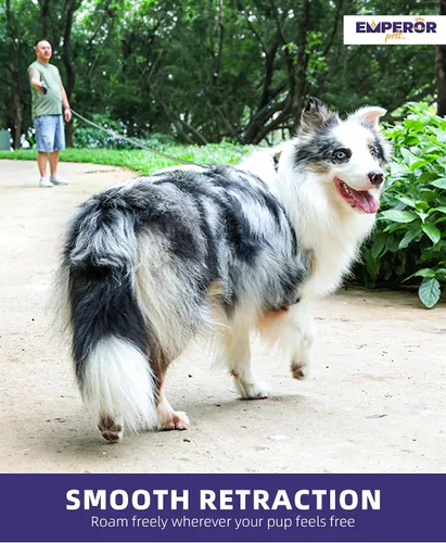 Miniatura 5 de Accesorio adicional para correa retráctil para perro, correa de mano y muñeca, para mayor comodidad, agarre suelto para tus manos y un mejor