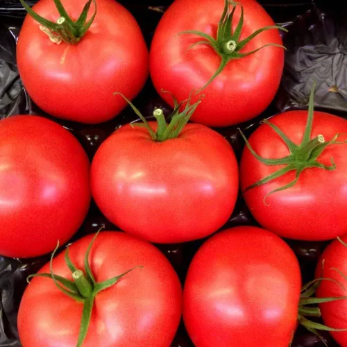 Miniatura 5 de The Caribe Caribbean Semillas de tomate para plantar, más de 100 semillas tradicionales por paquete, semillas de jardín de Isla