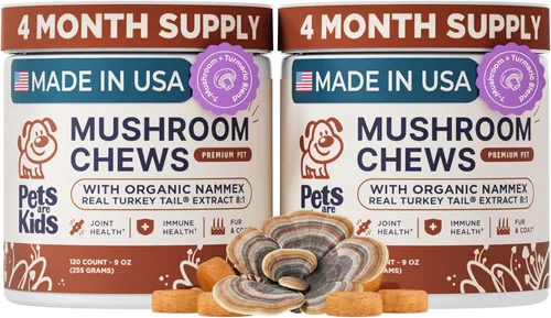 Miniatura 10 de Hongo de cola de pavo para perros con cola de pavo orgánica real Turkey Tail™ - Gomitas masticables de extracto de hongos 8:1 para bultos