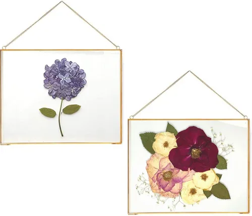 Miniatura 10 de Beedecor Juego de 2 marcos colgantes de vidrio doble para flores prensadas, hojas y obras de arte, marco flotante de metal grande con cadena, marcos