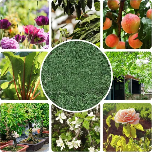 Miniatura 8 de Tijeras de jardín de alta calidad, tijeras de podar MEPEREZ herramientas de jardinería, podadoras para flores, arbustos, rosas y árboles frutales