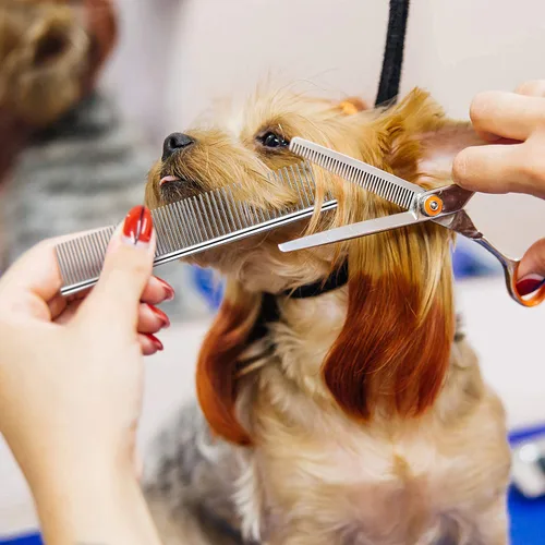 Miniatura 4 de Peines de perro para aseo, peine de metal para gatos para eliminar enredos y nudos, herramienta profesional de aseo para perros de pelo largo, gato