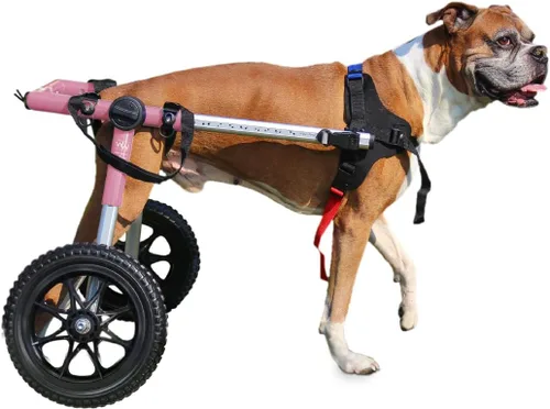 Miniatura 8 de Walkin' Wheels Silla de ruedas para perros, para perros medianos y grandes, de 50 a 69 libras, aprobada por veterinarios, silla de ruedas para Azul
