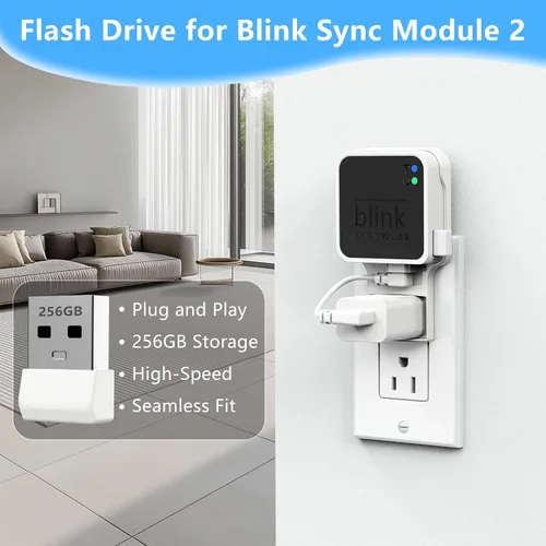 Miniatura 2 de Unidad flash USB Blink de 256 GB, con soporte de pared con toma de corriente para Blink Sync Module 2, almacenamiento USB Blink y soporte de cámara
