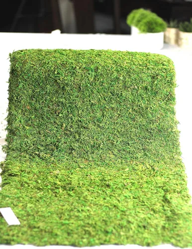 Miniatura 21 de Alfombra y tapetes de musgo preservado (12 pulgadas x 6 pies)