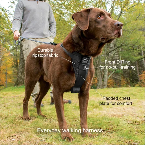 Miniatura 3 de Kurgo Tru-Fit - Arnés inteligente para caminar para perros, ajuste cómodo, arnés ajustable, reflectante para mascotas, liberación rápida