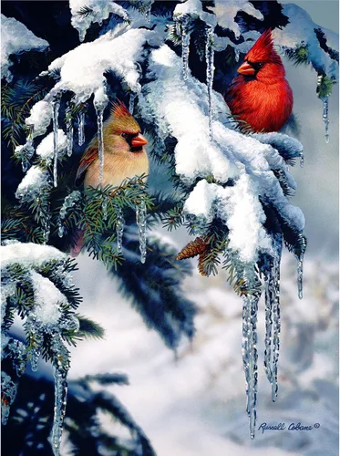 Miniatura 12 de Gift Essentials Rompecabezas de 1000 piezas – Collage de amigos de aves del patio trasero: 25 retratos de tus pájaros favoritos en el patio trasero