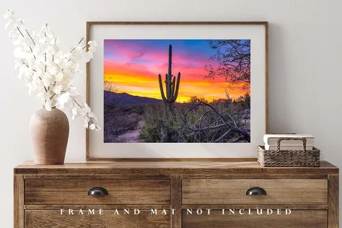 Miniatura 4 de Southwestern Photography Print (Not Framed) Picture of Saguaro Cactus at Sunrise in Sonoran Desert near Tucson Arizona Western Wall Art Nature Decor