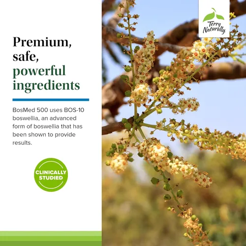 Miniatura 5 de Terry Naturally BosMed 500 Extra Strength - Suplemento de extracto de Boswellia Serrata - Suplemento para un apoyo pulmonar saludable - Fórmula