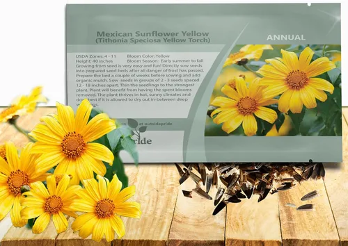 Outsidepride Yellow Torch - Semillas de girasol mexicano – 500 piezas anuales, fáciles de cultivar, semillas de flores amarillas Tithonia Speciosa