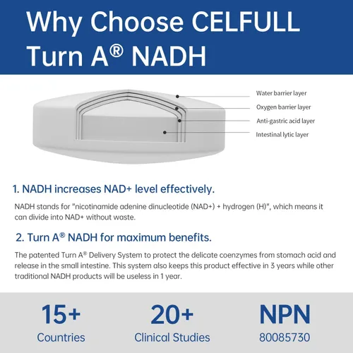 Miniatura 3 de CELFULL Suplemento NADH de 40 mg Enchance NMN Alternativo NAD+ Suplemento para Apoyo Inmunológico Anti-Envejecimiento Aumento de la Cognición