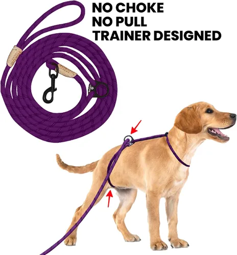 Miniatura 2 de Correa larga de 12 pies para perro, sin tirones, sin estrangulamiento, antitirones, para caminar, doble gancho y a prueba de escapes para todas