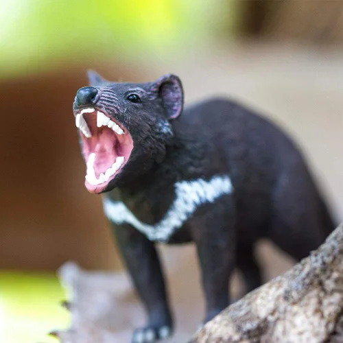 Miniatura 6 de Safari Ltd. Tasmanian Devil Figurine - Figura marsupial realista de 3.5 pulgadas, juguete educativo para niños, niñas y niños a partir de 3 años
