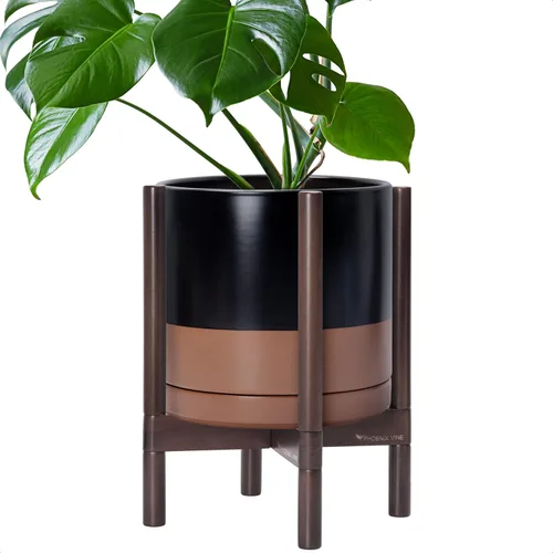 Miniatura 7 de D'vine Dev Maceta de cerámica con soporte de ébano – Maceta redonda moderna de 8 pulgadas con soporte para maceta de madera, color negro, 55-B-M-2