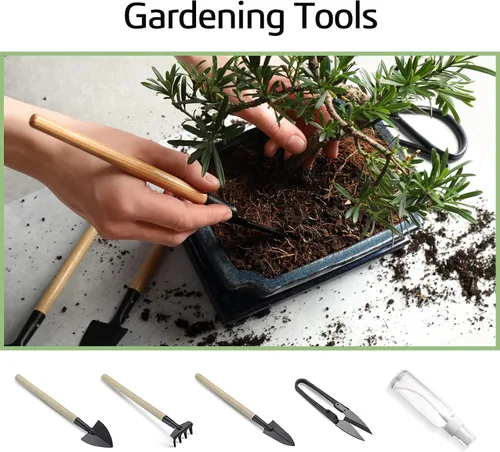 Miniatura 7 de Meekear Kit de árbol bonsái con kit completo de iniciación de crecimiento, gran regalo de bricolaje para cultivar en maceta para adultos