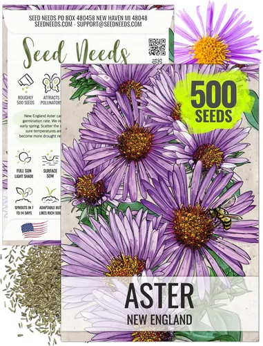 Seed Needs Semillas Aster de Nueva Inglaterra para plantar, reliquia y flores silvestres polinizadas abiertas para plantar y cultivar un jardín de