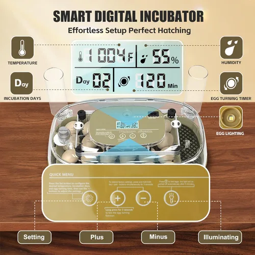 Miniatura 2 de Syluris Incubadoras para incubar huevos, incubadora de 24 huevos con giro automático de huevos y control de humedad, vela de huevos, visualización