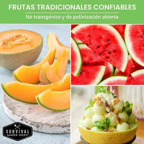 Miniatura 5 de Variedad de semillas de melón – 6 semillas autóctonas de melón cantalupo, melón y sandía para plantar – con Honey Rock, Hale’s Best, Tendersweet