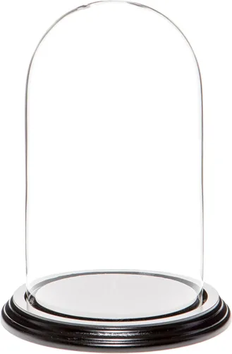 Miniatura 9 de Plymor Cúpula de cristal de 4.5" x 8" (base de chapa de roble)