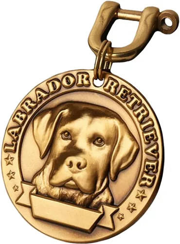 Miniatura 46 de Etiquetas de identificación para mascotas de cobre puro, etiquetas de nombre de perro personalizadas en relieve 3D con letras personalizadas