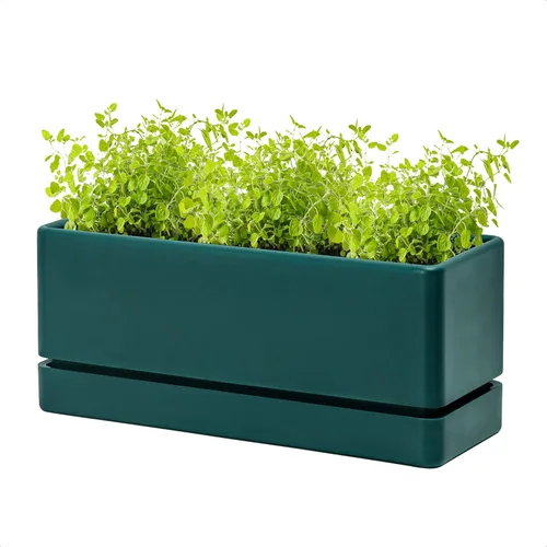 Miniatura 9 de D'vine Dev - Maceta para ventana de 12 pulgadas, maceta rectangular de plástico para hierbas con agujeros de drenaje y plato, maceta de suculentas
