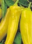 Miniatura 4 de Semillas de vegetales de plátano dulce y pimienta (100 semillas)