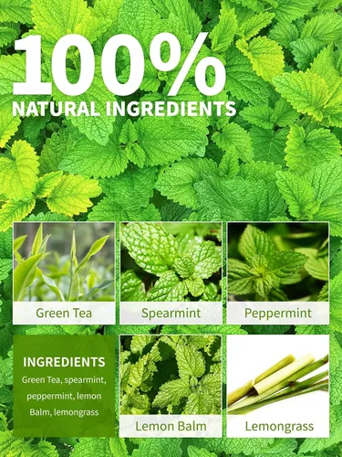 Miniatura 3 de TeeLux Bolsas de té verde menta, té verde con menta, menta verde y citronela, con cafeína, 100% real y natural, 100