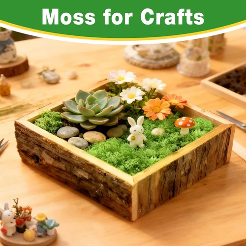 Miniatura 2 de Halatool Musgo de reno preservado para manualidades, musgo verde para terrarios, jardines de hadas, manualidades, decoración del hogar, ideal