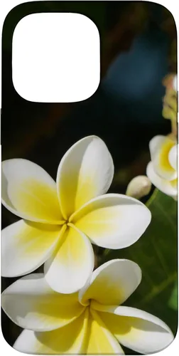 Miniatura 21 de iPhone 12/12 Pro Plumeria Flower - Carcasa amarilla