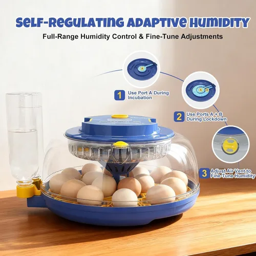 Miniatura 3 de Incubadora de 18 huevos para incubar pollos, codornices, patos y pavos, girador automático de huevos, control de humedad y pantalla digital, incluye